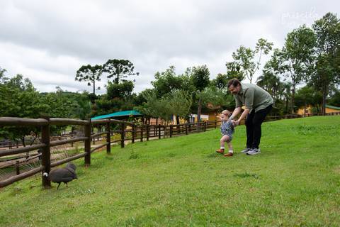 Festa Mini Zoo Pet Fazendinha Cotia SP'
