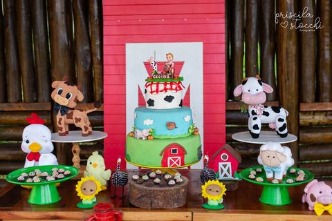 Fotógrafa Festa Infantil SP'