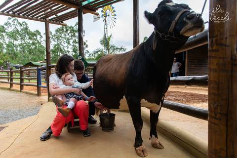 Festa Mini Zoo Pet Fazendinha Cotia SP'