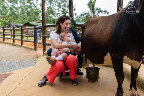 Festa Mini Zoo Pet Fazendinha Cotia SP'