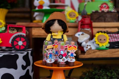 Fotógrafa Festa Infantil SP'