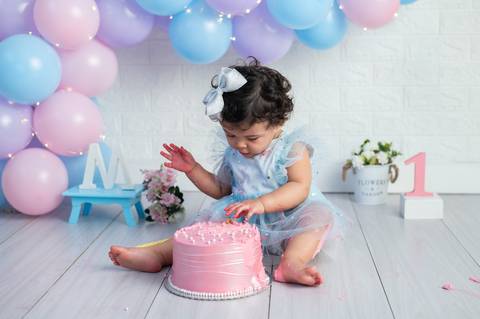 smash the cake em familia estudio são paulo sp'