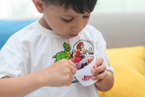 Fotógrafa Aniversário Infantil Zona Sul SP'