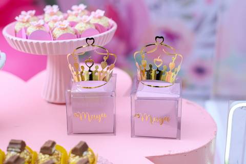 Fotógrafa Festa Infantil São Paulo'