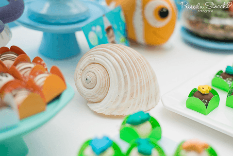 Foto e Filmagem Festa Infantil São Paulo Buffet Animalukos'