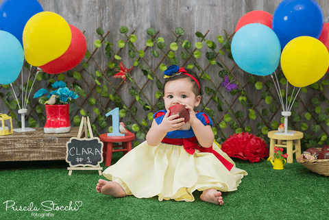 Smash the Cake Branca de Neve Estúdio São Paulo SP'