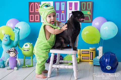 Smash the Cake com cachorro 
 Monstros SA Zona Sul São Paulo SP Estúdio '