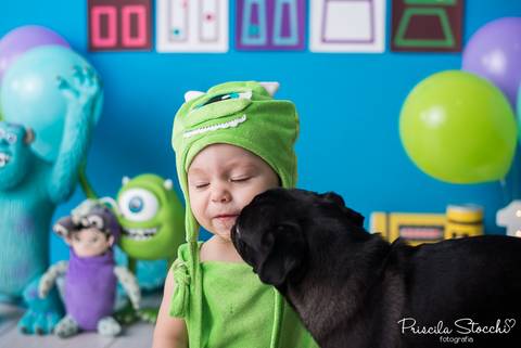 Smash the Cake com cachorro Monstros SA Zona Sul São Paulo SP Estúdio '