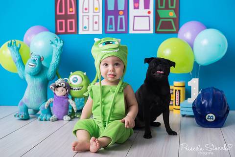 Smash the Cake com cachorro Monstros SA Zona Sul São Paulo SP Estúdio '