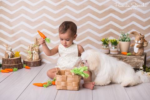 Ensaio Fotográfico Páscoa Estúdio São Paulo SP'