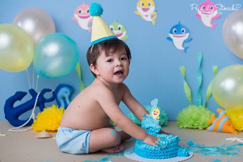 Smash the Cake Baby Shark São Paulo Zona Sul'