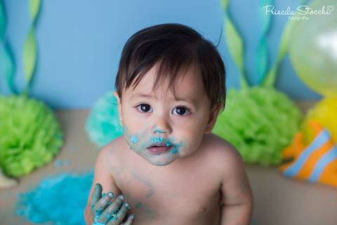 Smash the Cake Baby Shark São Paulo Zona Sul'