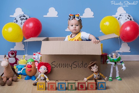 Smash the Cake Toy Story Menina São Paulo SP'