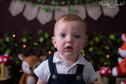 Ensaio Fotográfico 1 ano Floresta Encantada SP Zona Sul'