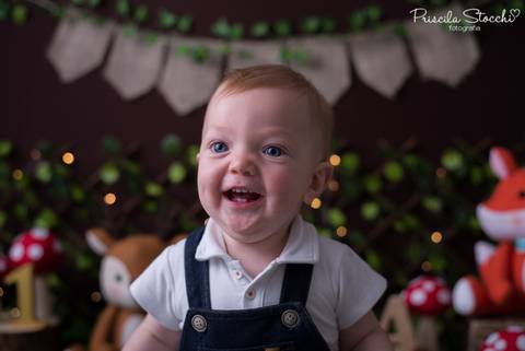 Ensaio Fotográfico 1 ano Floresta Encantada SP Zona Sul Smash the Cake'