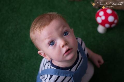 Ensaio Fotográfico 1 ano Floresta Encantada São Paulo'