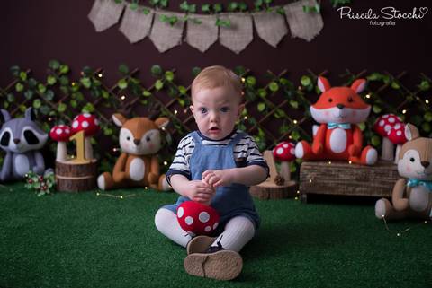 Ensaio Fotográfico 1 ano Florestinha'