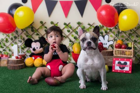 Smash the Fruit com Pet Mickey São Paulo SP Zona Sul'