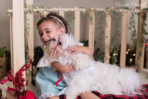 Mini Sessão Natal com Cachorro  São Paulo SP Zona Sul 2019'