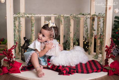 Mini Sessão Natal com Cachorro São Paulo SP Zona Sul 2019'