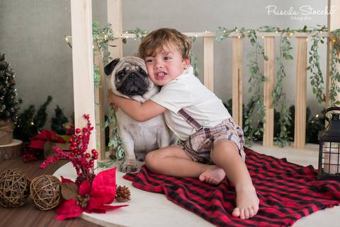 Mini Sessão de Natal 2019 com pet São Paulo'