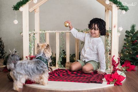 Mini Sessão Natal 2019 São Paulo Zona Sul Com Pet'