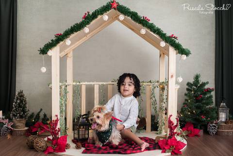 Mini Sessão Natal 2019 São Paulo Com Pet'