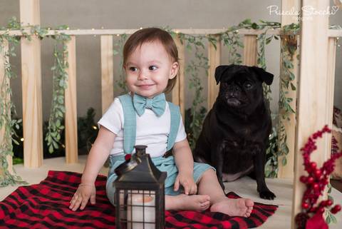 Mini Sessão Natal Com Pet 2019 São Paulo'