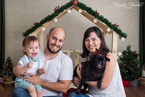 Mini Sessão Natal Com Pet 2019 São Paulo Zona Sul'