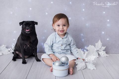 Mini Sessão Natal Com Pet 2019 São Paulo Zona Sul'