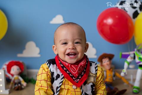 Ensaio 1 ano Toy Story São Paulo'