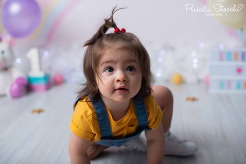 Ensaio 1 ano Agnes Meu Malvado Favorito São Paulo'