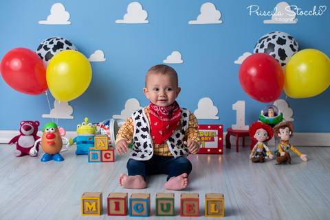 Ensaio 1 ano Toy Story São Paulo'