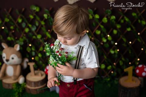 Ensaio Florestinha SP'