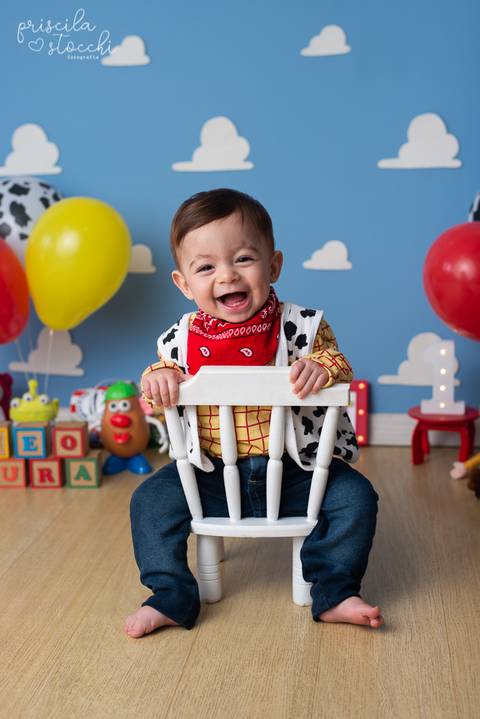 Ensaio 1 ano Woody Toy Story São Paulo'