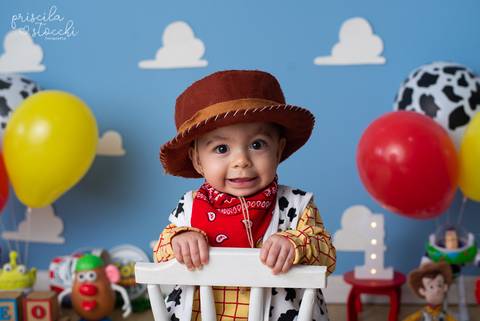 Ensaio 1 ano Woody Toy Story SP Zona Sul'