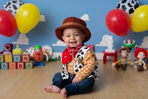 Ensaio 1 ano Toy Story São Paulo'