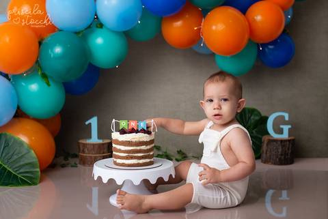 Smash the Cake Dinossauro 1 ano SP'