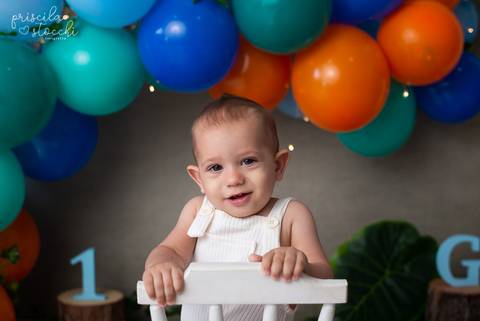 Ensaio 1 ano Dinossauro SP'