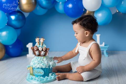 Smash the Cake Arca de Noé São Paulo'