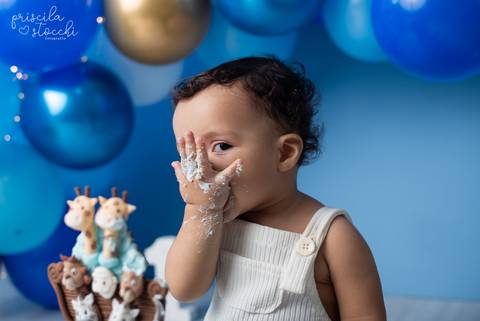 Smash the Cake 1 ano Arca de Noé SP'