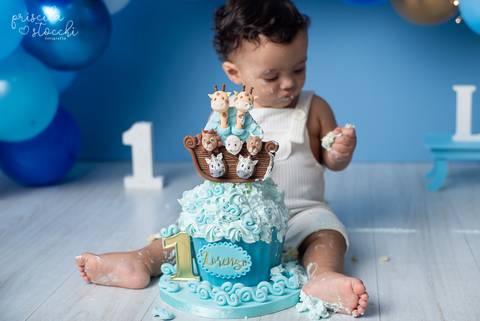 Smash the Cake 1 ano Arca de Noé SP'