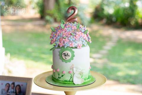 Fotografia Festa Infantil Decoração Festa ao ar livre SP'