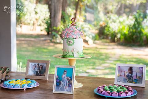 Fotografia Festa Infantil Decoração Festa ao ar livre SP'