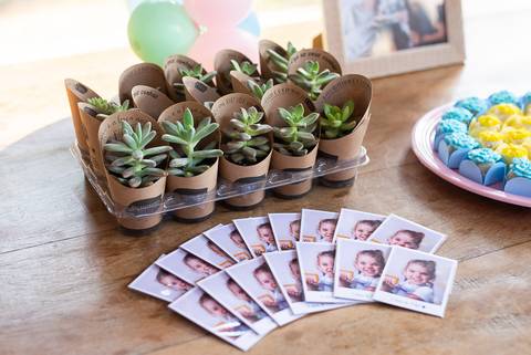 Fotógrafa Aniversário Infantil Decoração Festa ao ar livre SP'