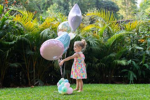 Fotos Festa Infantil 2 anos SP'