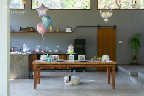 Fotógrafa Aniversário Infantil Festa ao ar livre SP'