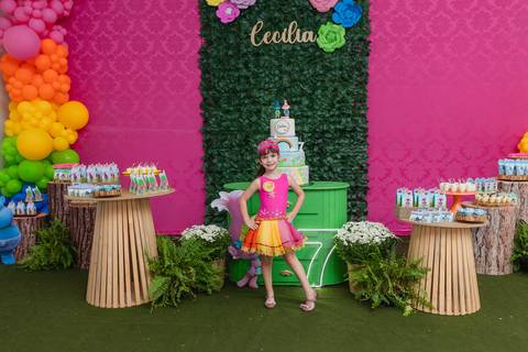 Aniversário Infantil'