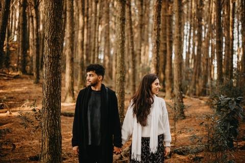 floresta,fotografia,fotografia de natureza,fotos na floresta,fotografia de arvores,ensaio fotográfico floresta,fotografia de bosques,dica de fotografia,dicas de fotografia,fotografia '