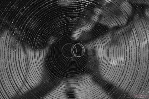 Grande Ville Vuffet, vestido de noiva romantico, vestido de noiva de renda, noiva de renda, casamento rustico, casamento na cidade, casamento romantico, oficializar a união, casamento com filhos, noivo terno azul, terno azul, noivos, alianças.'